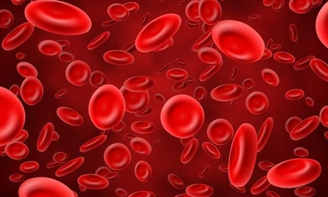 Tuổi thọ có thể liên quan đến nhóm máu, nếu bạn có nhóm máu này, bạn có thể sống lâu hơn những người khác