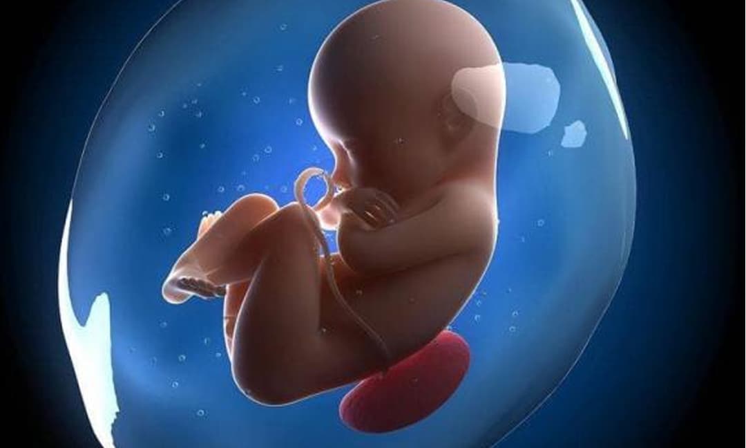 Nếu trong thai kỳ tồn tại 3 tình trạng này thì có thể là thai nhi “chậm lớn”,  mẹ bầu cần lưu ý