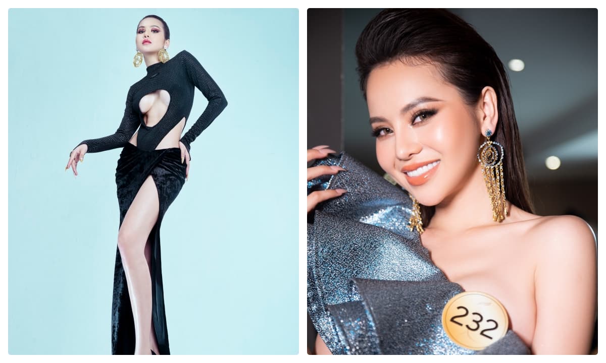 Hoa hậu Nguyễn Ngọc Quỳnh, Hoa hậu Ảnh Quốc Tế năm 2016, Hoa Hậu Người Việt năm 2017