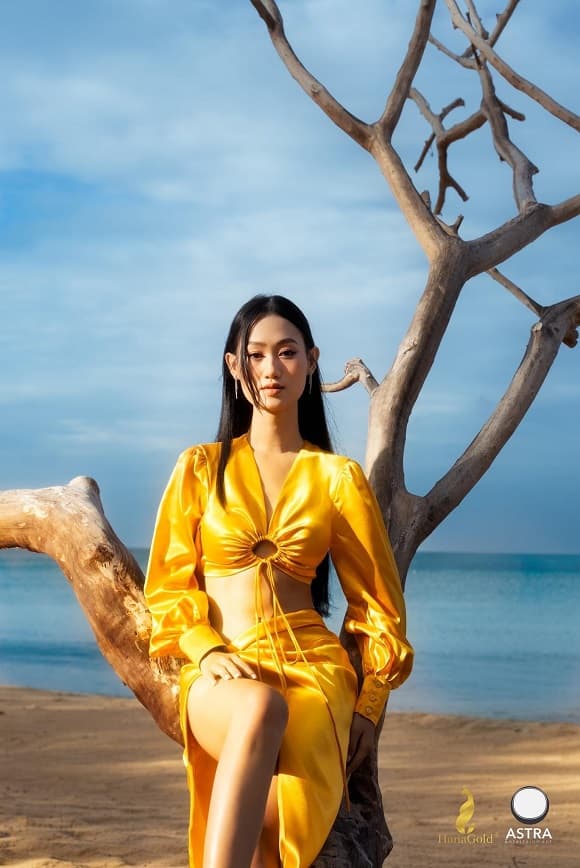 Miss Tourism, Trúc Linh, Hoa Hậu Du Lịch Việt Nam