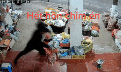 lột vòng vàng của bé trai, clip hot, clip giải trí