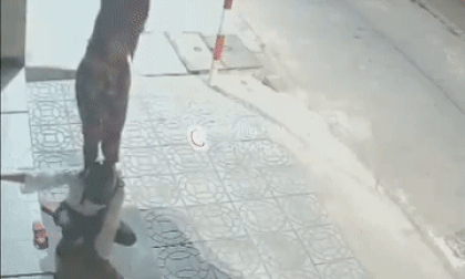 Clip hot, bé trai thoát nạn trong gang tấc, clip giải trí