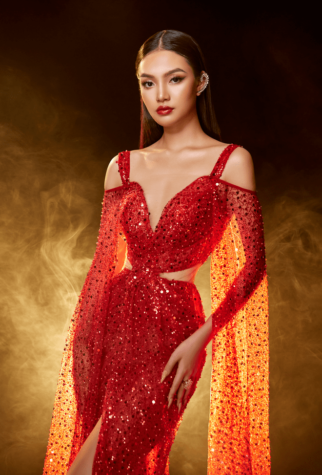 Đức Vincie, Hoa hậu Đại dương Việt Nam, Đan Phượng
