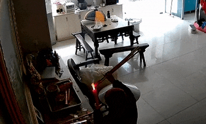 Chuột, clip hot, clip giải trí