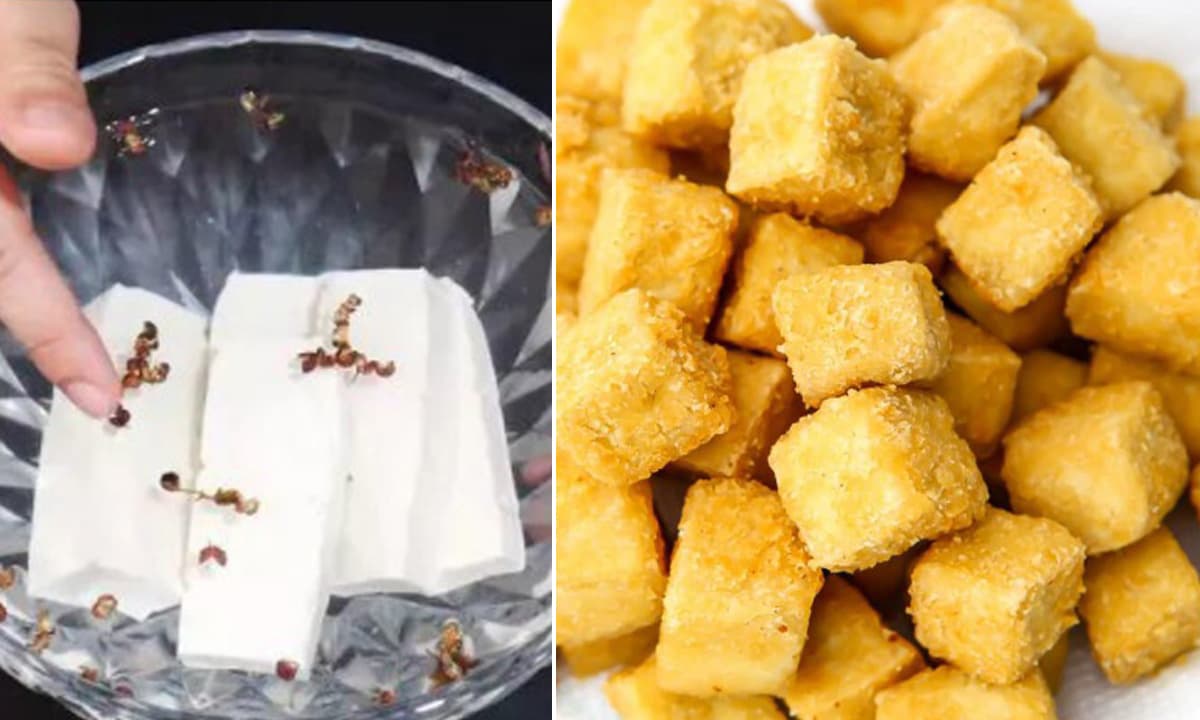 đặt tiệc tại nhà, dịch vụ nấu tiệc tại nhà, đặt tiệc lưu động, The Catering