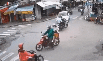 Rắn hổ mang, clip hot, clip giải trí