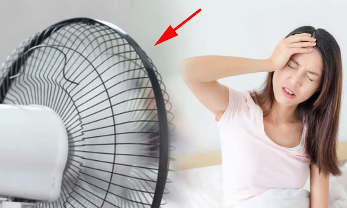 Nha khoa Shark Tân Bình, Nha khoa Shark, Sức khỏe răng miệng
