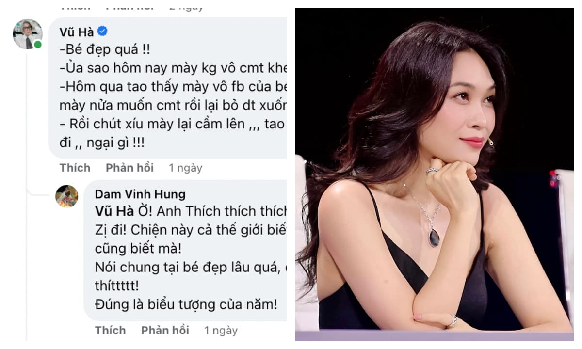 View - Bình luận đầy 'u mê' với Mỹ Tâm, Đàm Vĩnh Hưng bị Vũ Hà 'bóc phốt' là fan cuồng si