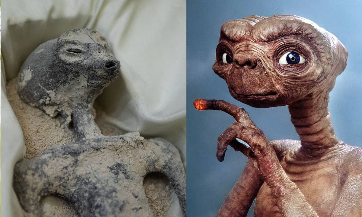 View - Mexico thả hài cốt nghi là 'sinh vật ngoài hành tinh', cư dân mạng: trông giống ET quá 