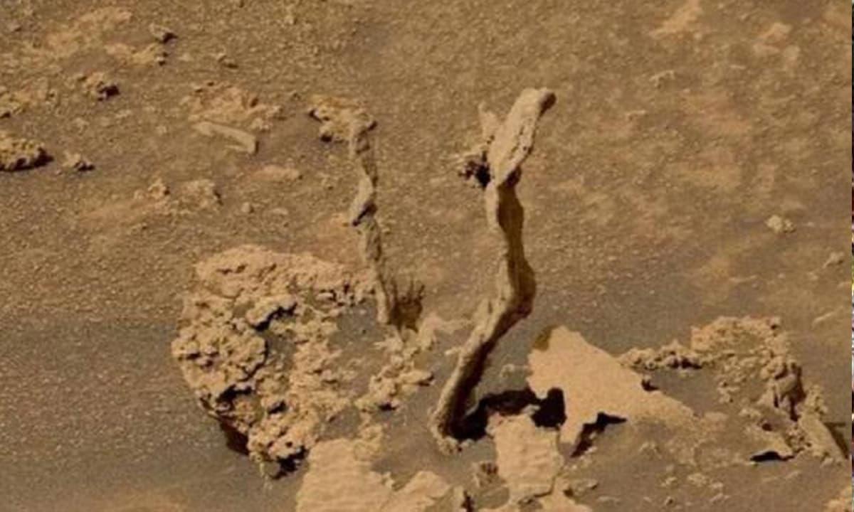 Khám phá kỳ diệu về sao Hỏa! Rover Curiosity phát hiện rắn hổ mang hơn 3 tỷ năm tuổi?