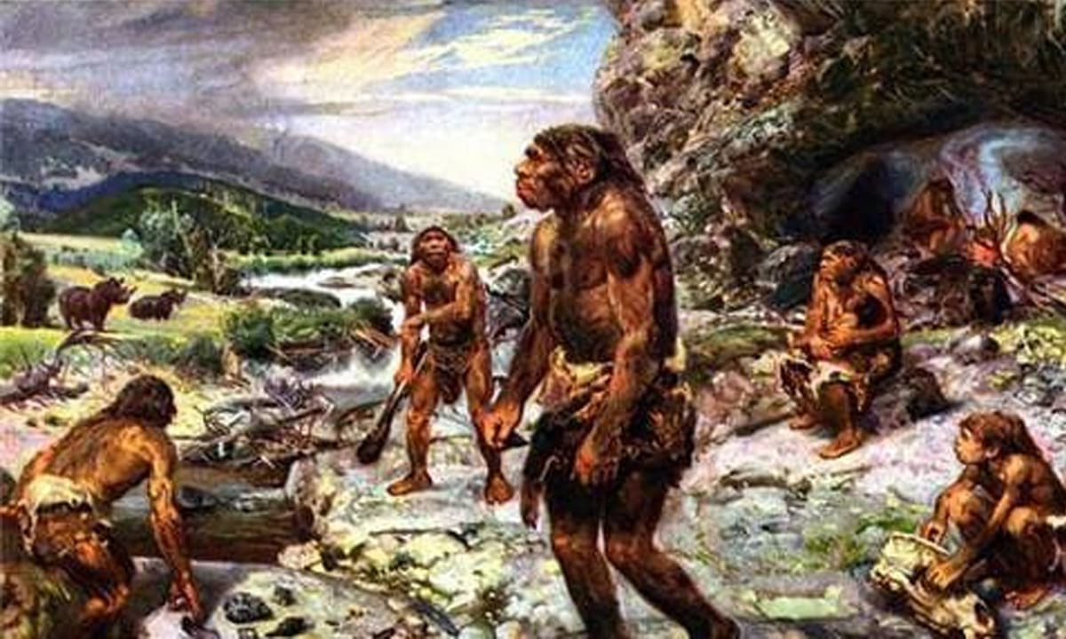 Vào thời tiền sử, trên trái đất có ít nhất 21 loại con người, cuối cùng họ đã đi đâu?