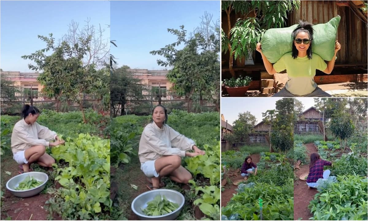 View - Khu vườn rộng mướt rau xanh của gia đình Hoa hậu H'Hen Niê ở Đắk Lắk