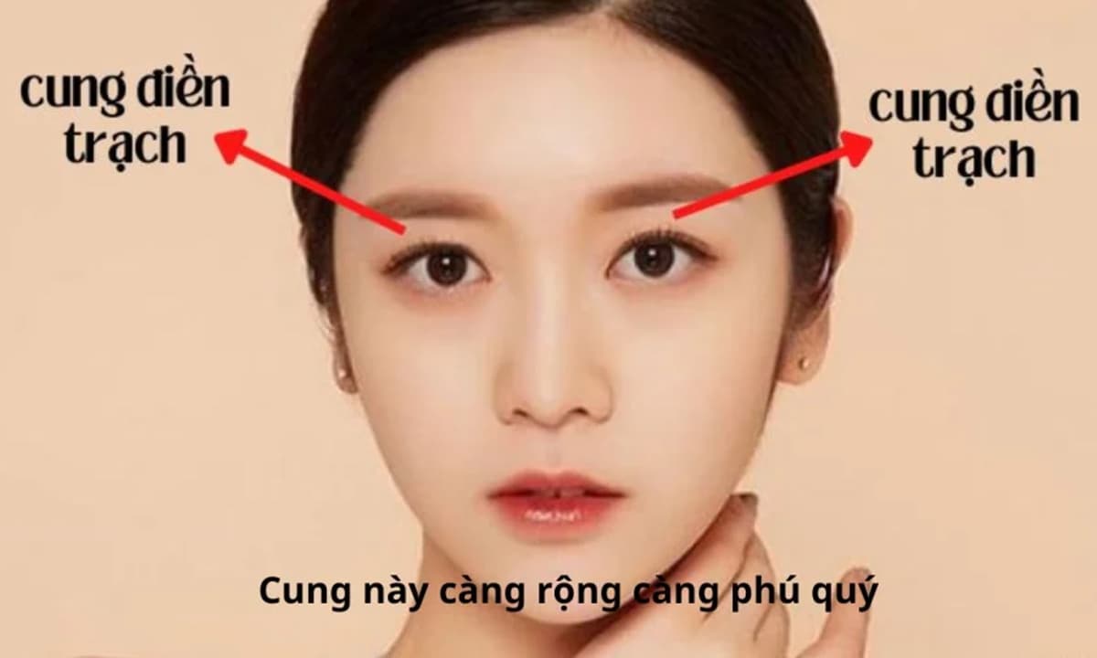 Thông Tin Về Cung Điền Trạch Rộng