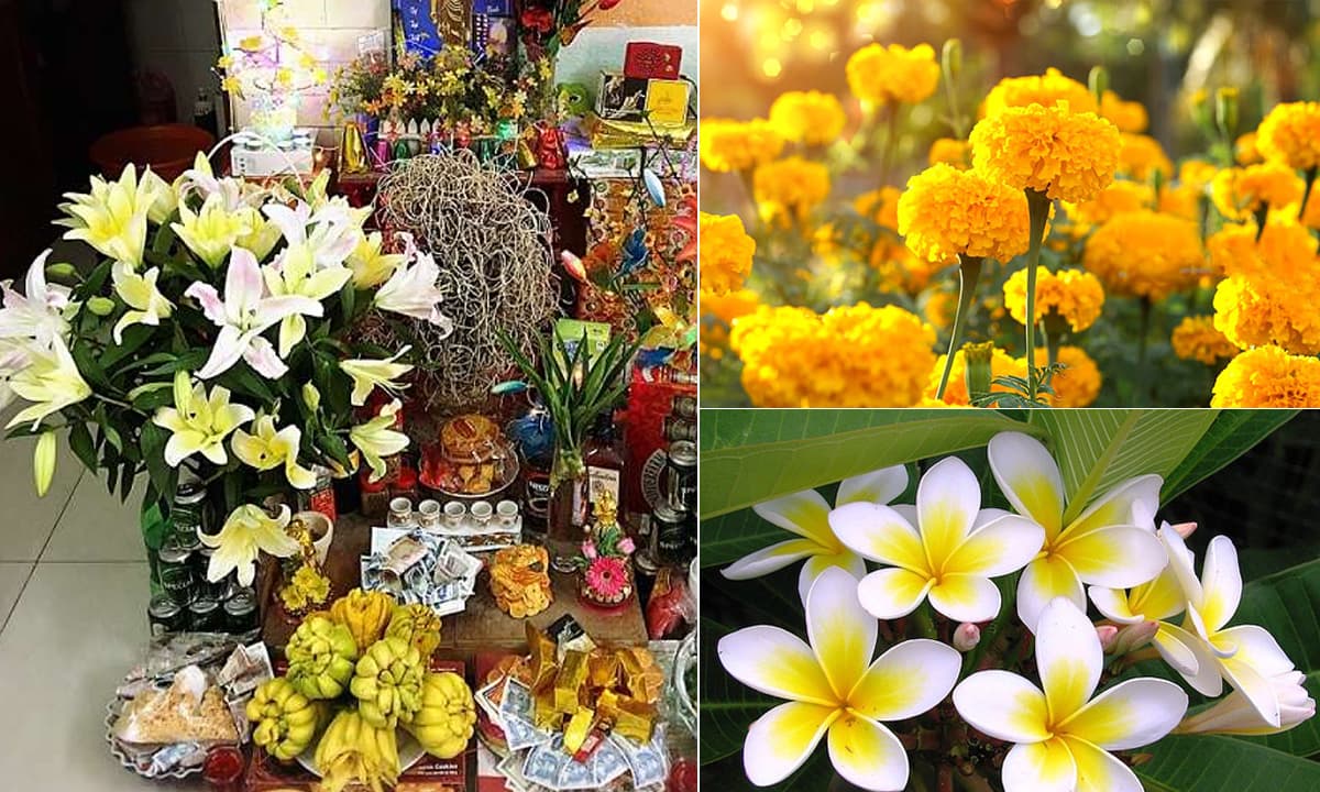 View - Không để 6 loại hoa lên bàn thờ trong ngày Rằm: Lộc khí tiêu tan, Thần Tài xa lánh 