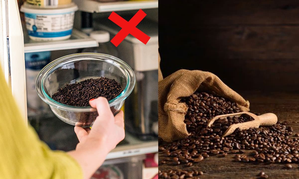 View - Không nên bảo quản cà phê trong tủ lạnh, vậy bạn đã biết cách tốt nhất để bảo quản cà phê là gì chưa?