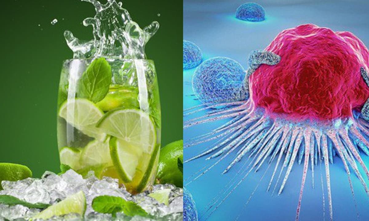 Chanh có thể chữa được 12 loại ung thư, mạnh gấp 10.000 lần hóa trị? Uống nước chanh có thể chống ung thư? Nói với bạn sự thật