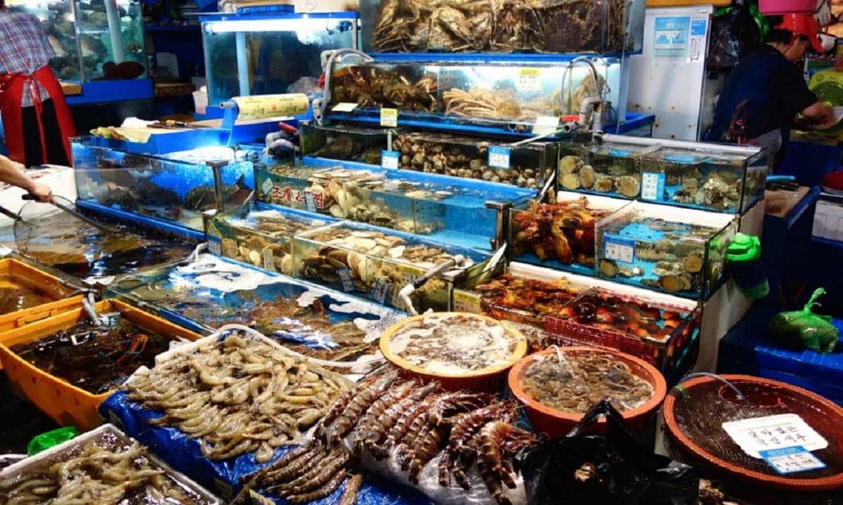 View - Tổng hợp tất tần tật các mẹo “tủ” khi chọn mua hải sản, lão ngư đảm bảo bạn sẽ không bao giờ mua nhầm