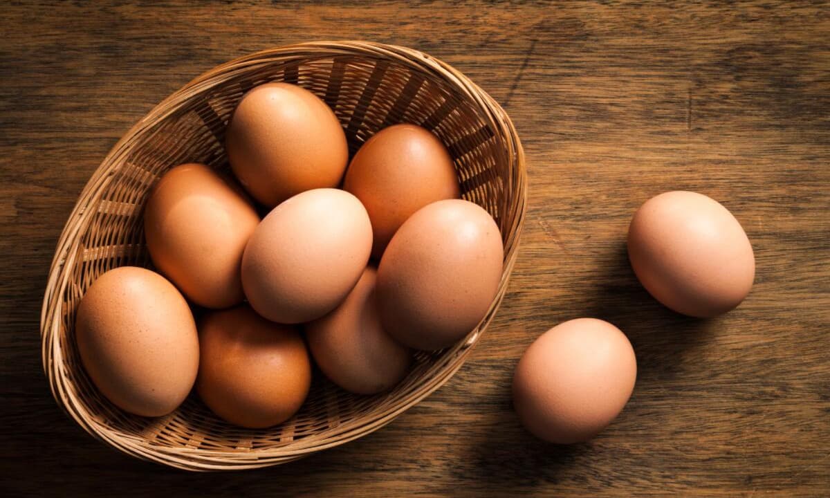 Trẻ nên ăn bao nhiêu trứng mỗi ngày? Lượng khẩu phần được đề xuất cho các lứa tuổi khác nhau
