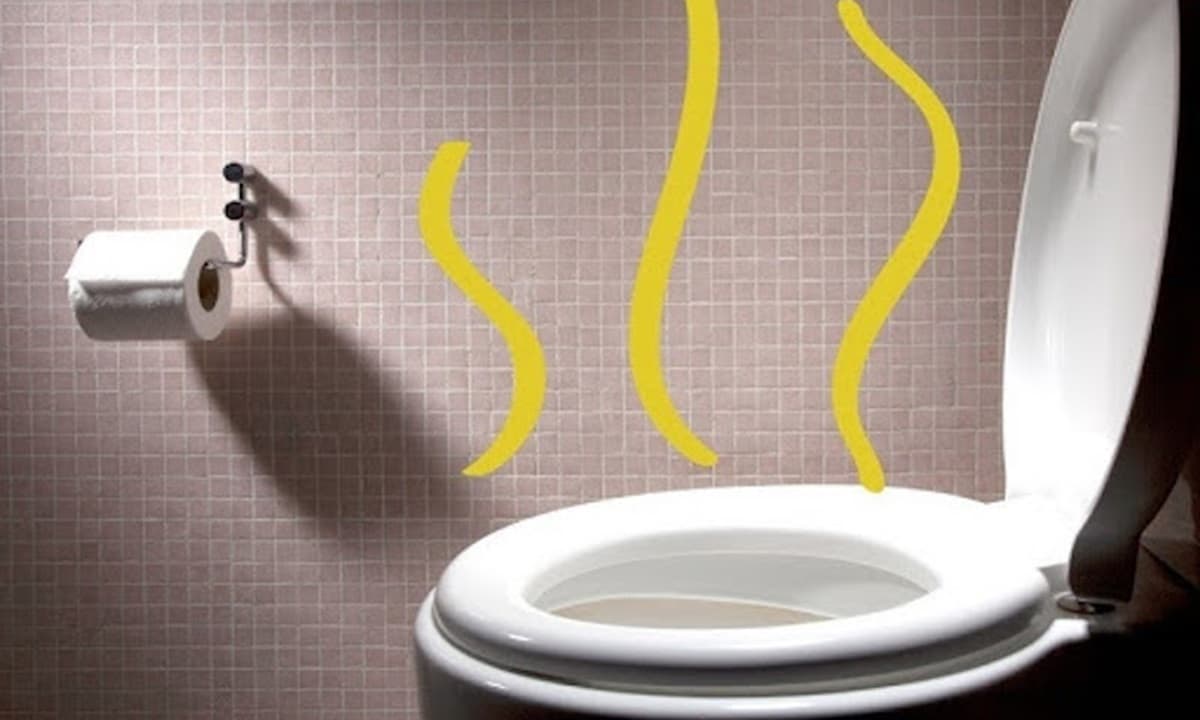 View - Có nên đậy nắp bồn cầu sau khi sử dụng? Nhiều người làm sai, chẳng trách nhà tắm có mùi hôi