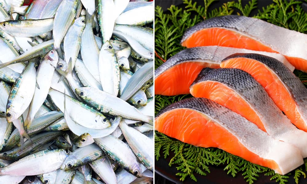 View - Loại cá chứa omega 3 giống như cá hồi nhưng rẻ hơn lại không chứa thủy ngân, đi chợ nên mua nga