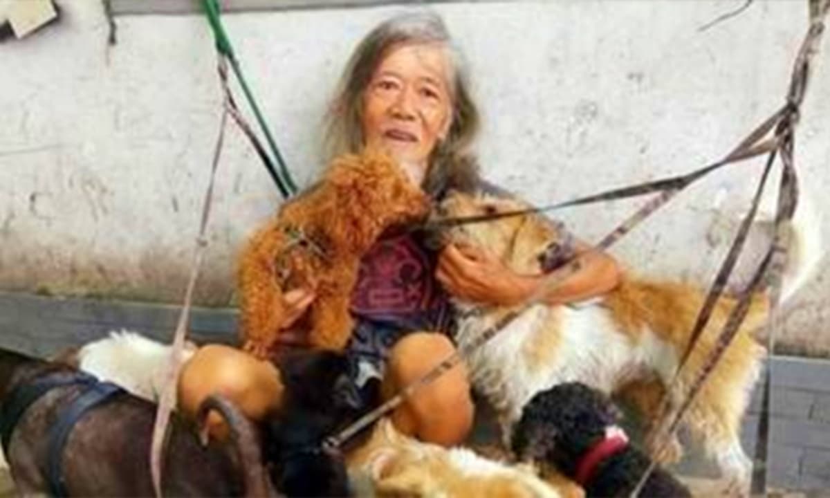 View - Từng thừa kế bất động sản hàng trăm tỷ, nay 'phú nhị đại' nổi tiếng nhất nhì Trung Quốc phải sống lang thang với chó