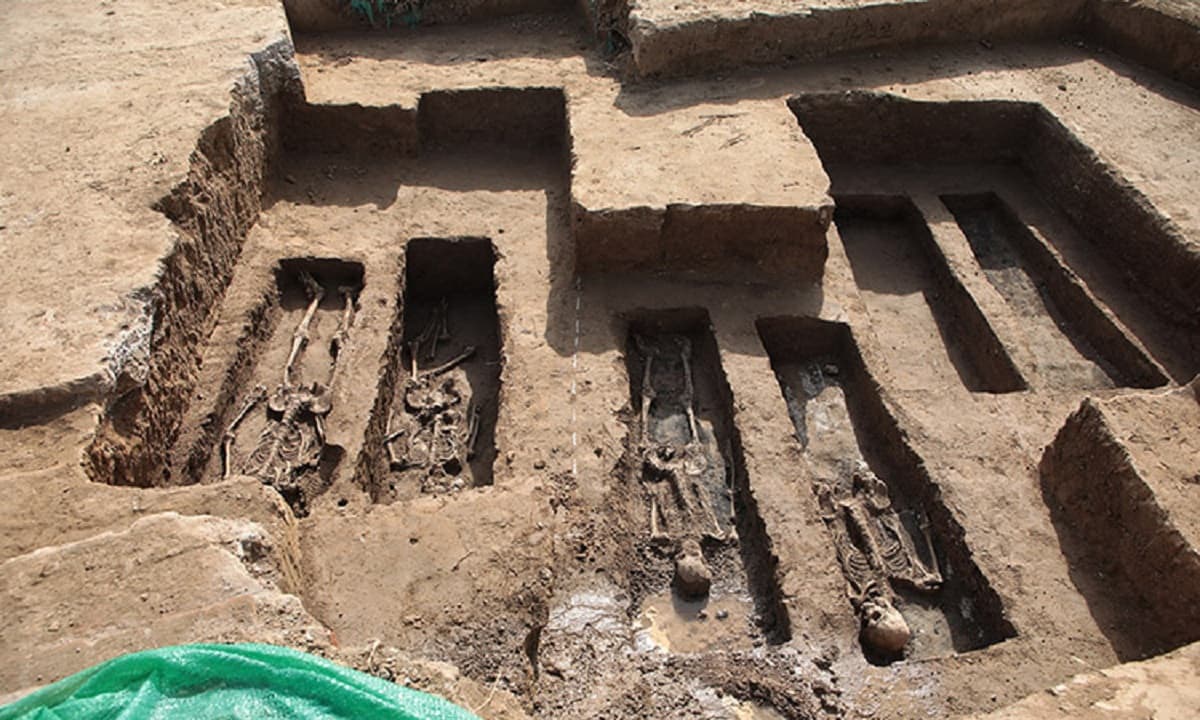 View - Ngôi mộ cổ 600 năm được khai quật, bên trong đầy khói, bất ngờ khi thấy có 1 nam 7 nữ được chôn cùng nhau 