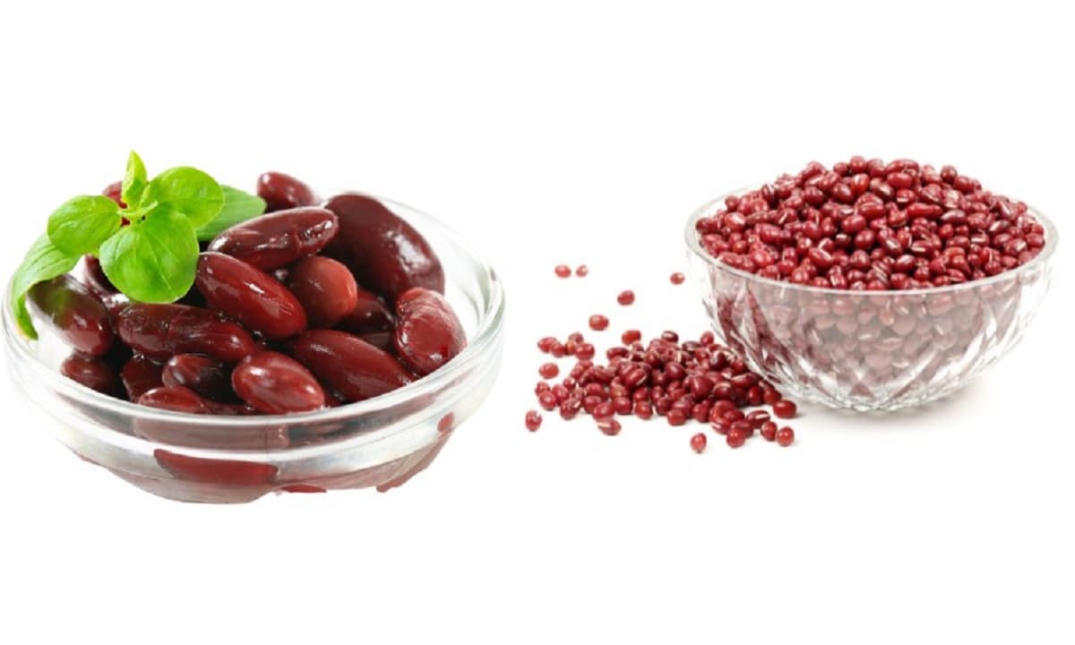 View - Mua đậu đỏ thì nên chọn hạt to hay hạt nhỏ? Loại nào giàu dinh dưỡng hơn? Sự khác biệt rất lớn, đừng mua nhầm!