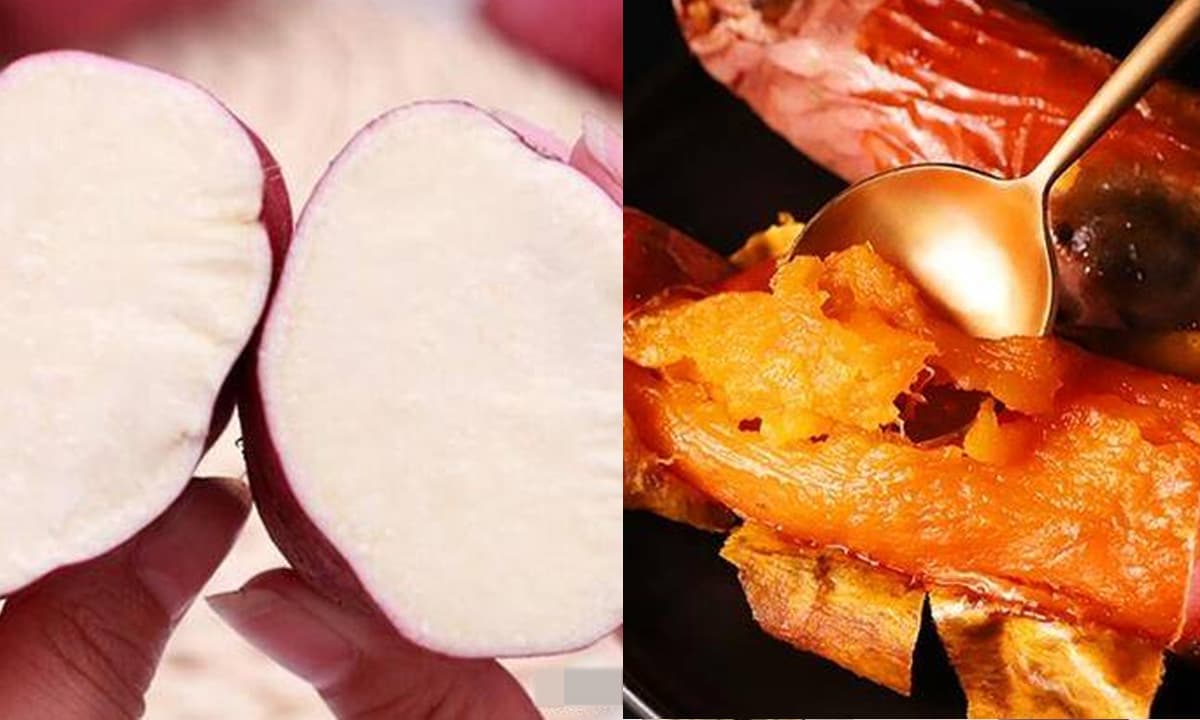 View - Khi chọn khoai lang nướng nên dùng khoai lang ruột vàng hay khoai lang ruột trắng, có gì khác biệt? 