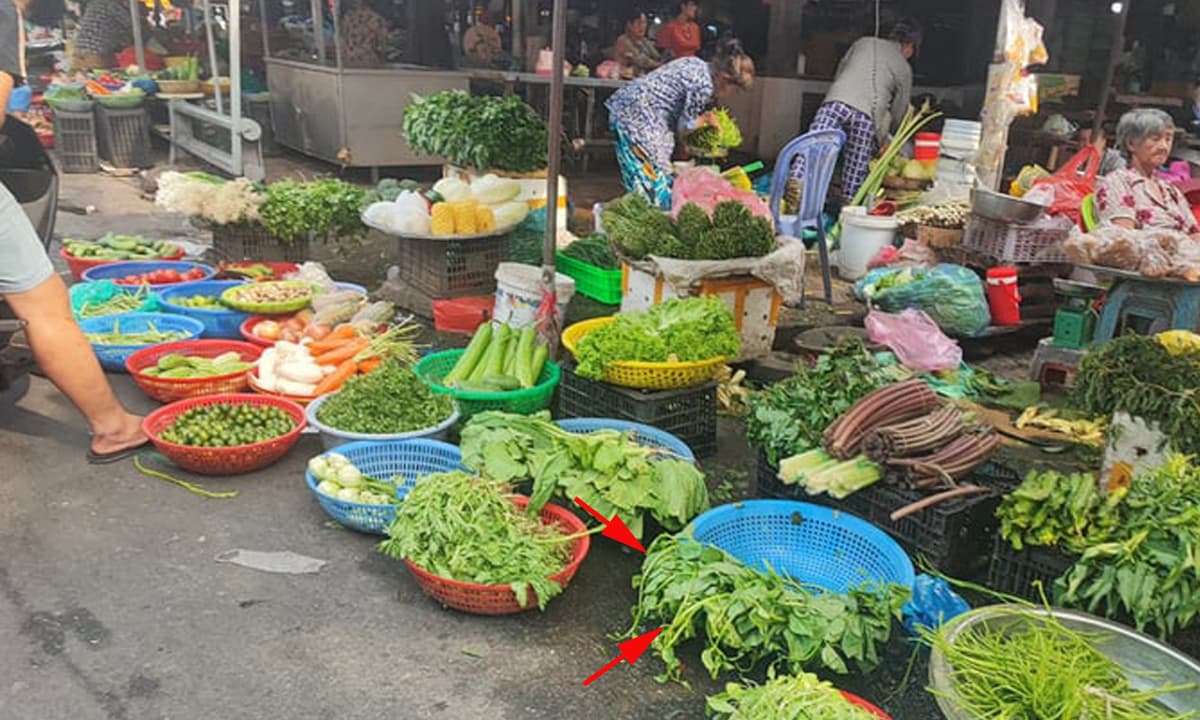 Chợ Việt bán đầy một loại rau trường thọ, chỉ 5000 đồng/1 mớ ăn vào cực tốt cho sức khỏe