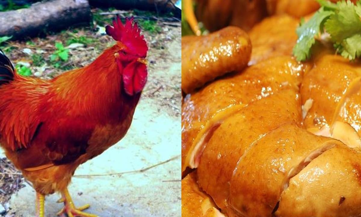 Phải chú ý đến 3 “bộ phận” bẩn nhất của con gà, thà không ăn còn hơn ăn nhầm!!