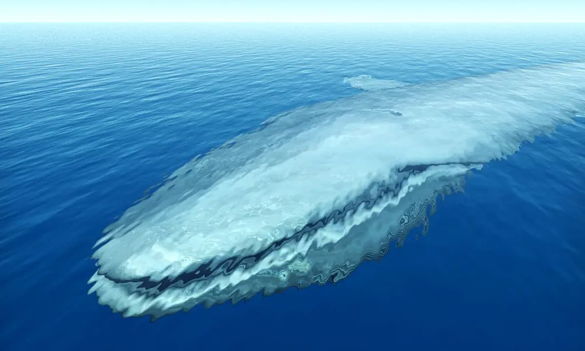 View - Đây mới là sinh vật dài nhất thế giới, dài hơn 100 mét, hơn cả cá voi xanh