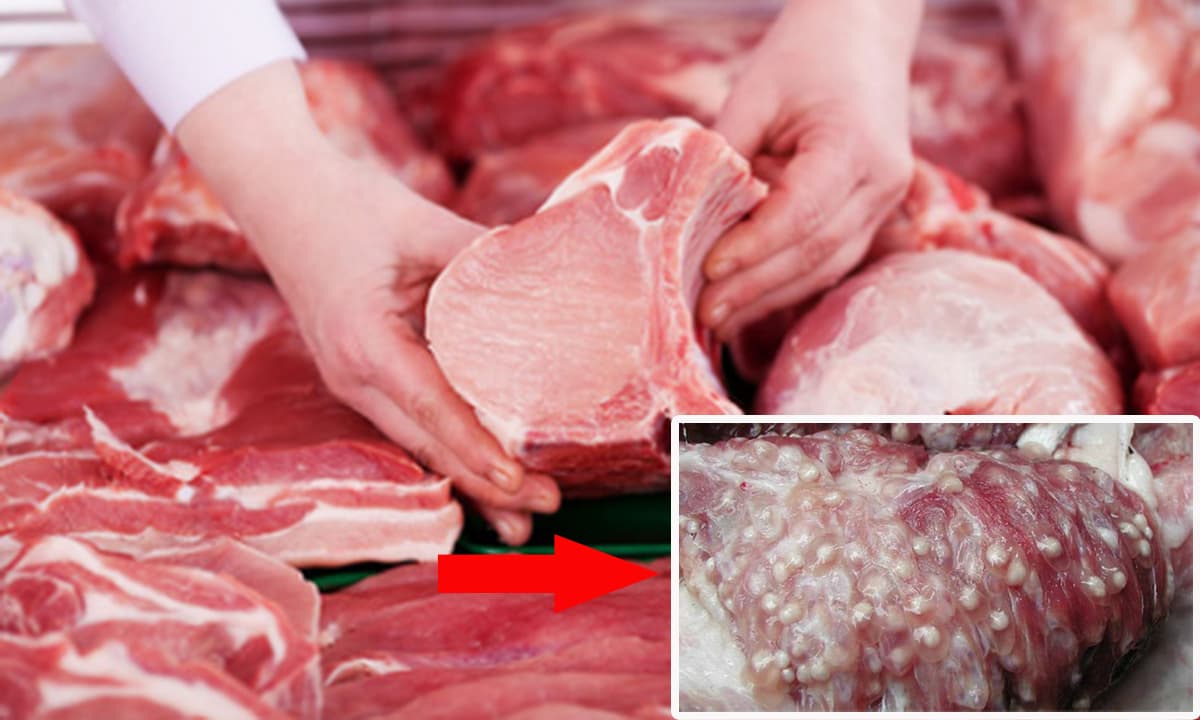 View - Mẹo nhận biết thịt bò, thịt lợn nhiễm giun sán cực đơn giản