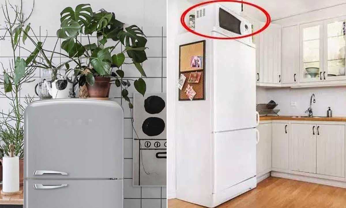 View - Thợ điện lâu năm: 3 thứ này đừng thể đặt lên nóc tủ lạnh không chỉ gây tốn điện mà còn ảnh hưởng đến tuổi thọ của tủ