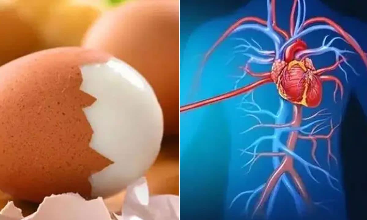 Người bị mỡ máu cao nên tránh xa trứng? Bác sĩ: Không chỉ có trứng mà còn cố gắng ăn ít 3 loại thực phẩm này