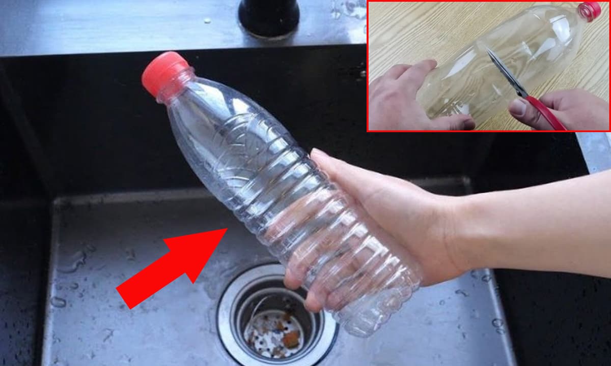 View - Đừng vứt chai nhựa cũ đi, cắt đôi nó rồi đặt vào bồn rửa bát sẽ thấy lợi ích bất ngờ, nhiều người tiếc vì không biết sớm