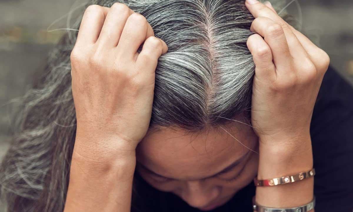 Cơ thể thiếu hụt vitamin nào sẽ khiến tóc bạc? Tóc bạc có nhổ được không? Có lẽ bạn sẽ hiểu sau khi đọc bài viết này