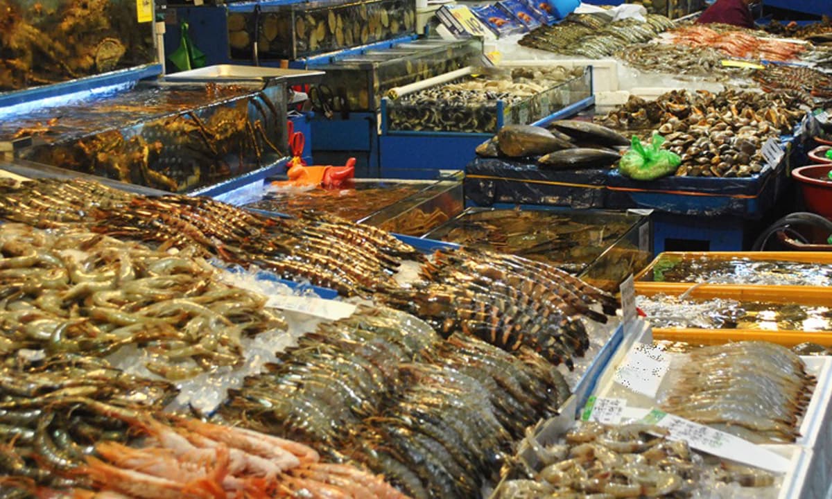 Ăn hải sản đừng bỏ qua loại này vì chứa chất tẩy ung thư, chợ Việt bán rất nhiều