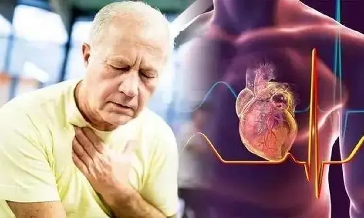 Bạn có thể biết mình có sống lâu hay không bằng cách nhìn vào nhịp tim của mình? Nhịp tim bình thường của người già trong 1 phút là bao nhiêu?