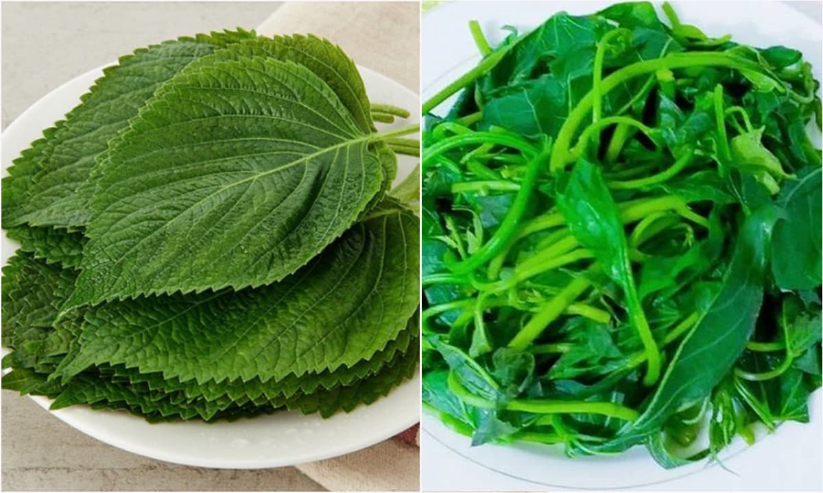 2 loại rau quý được người Nhật ví như thuốc trường thọ và lá hồi sinh, ở Việt Nam trồng đầy vườn, ăn không bao giờ hết