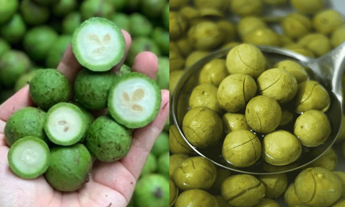 Holidays Việt Nam , Dịch vụ chuyên nghiệp, Tour du lịch