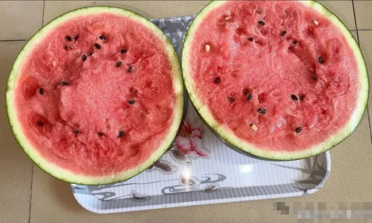Đừng cất dưa hấu ăn dở trong tủ lạnh! Một người nông dân trồng dưa đã dạy tôi phương pháp để giữ chúng tươi ngon trong một tuần