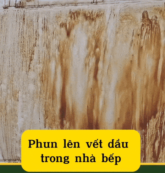 Dầu xả hết hạn, mẹo vặt, kiến thức, mẹo làm sạch