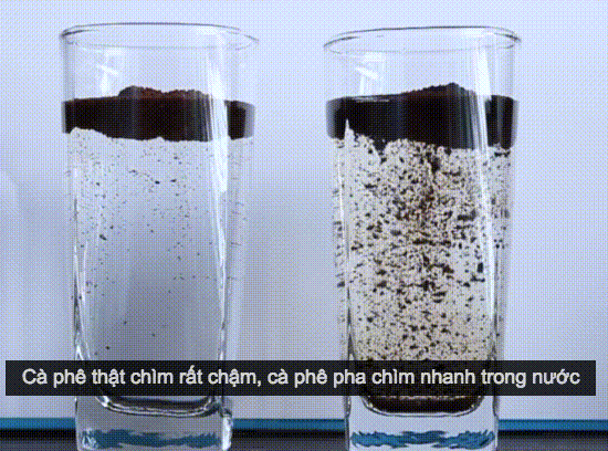 phân biệt cà phê thật và cà phê trộn tạp chất, mẹo vặt