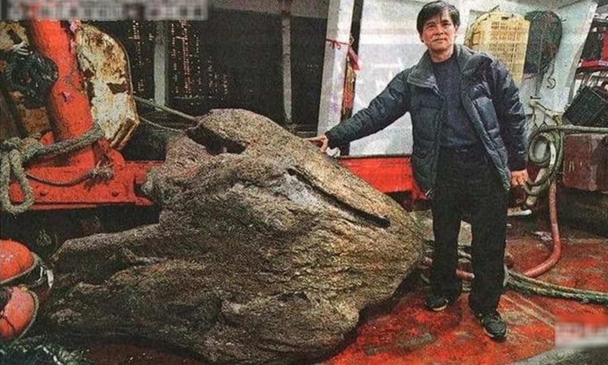Tìm thấy khối gỗ quý trên biển tỏa hương thơm, người đàn ông sửng sốt khi được chuyên gia định giá 3.500 tỷ đồng