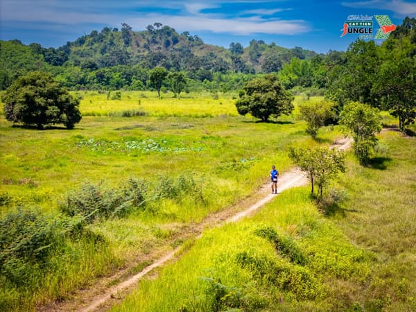CH-Alpha Cat Tien Jungle Paths, chạy bộ, sức khỏe