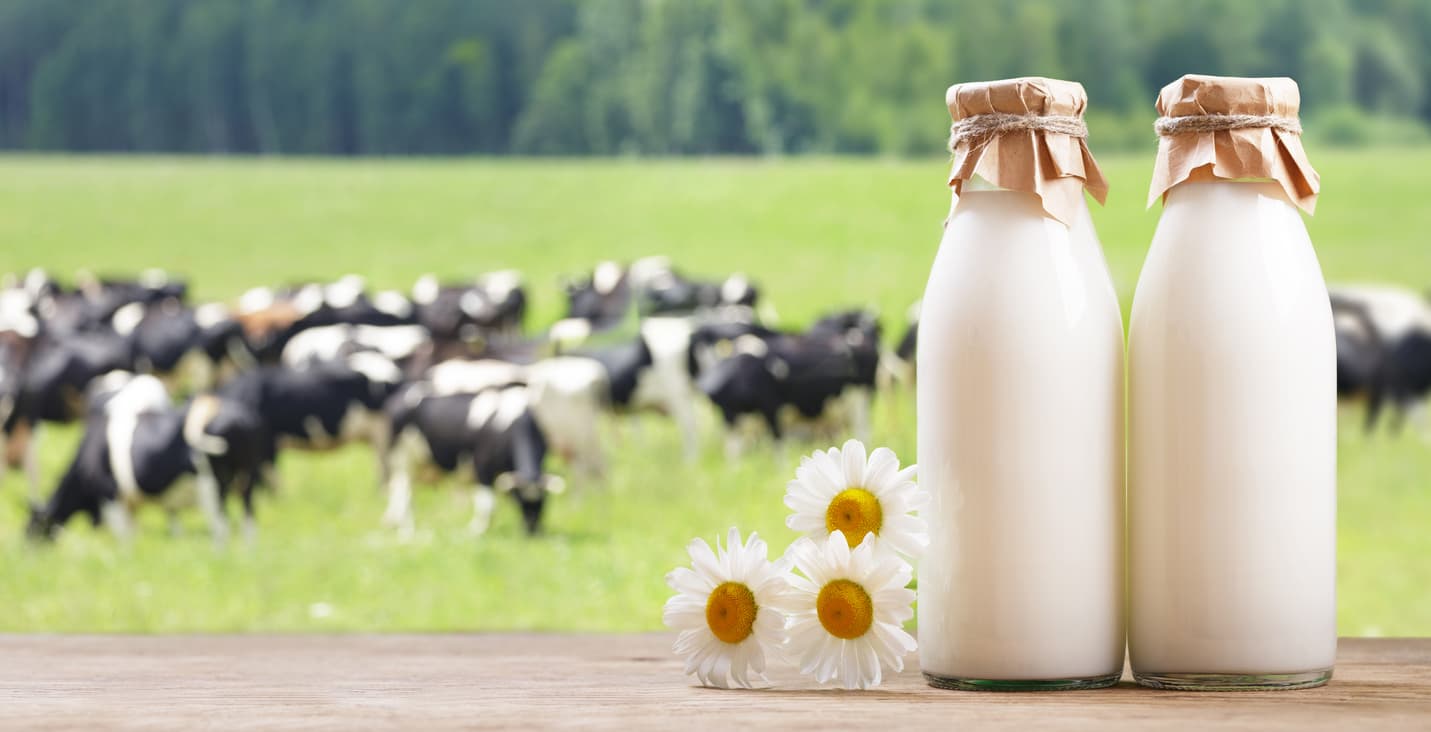 From farm to glass