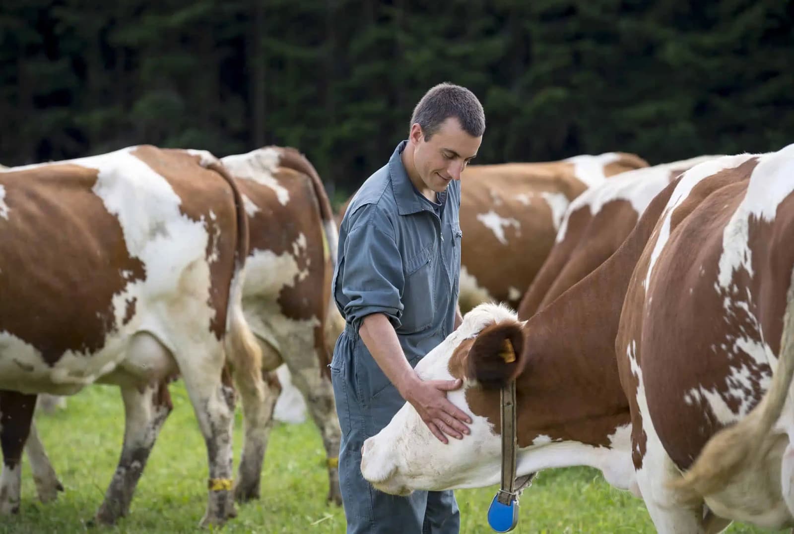 From farm to glass