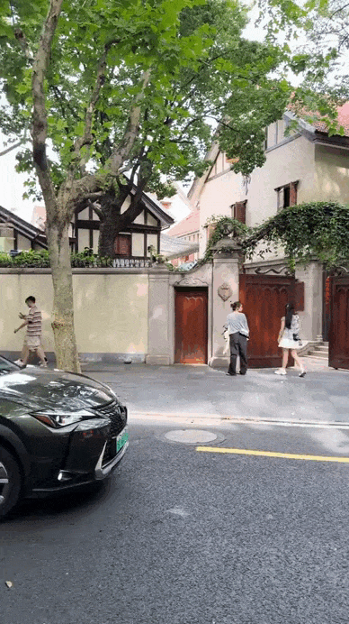Cố Trác Đồng, biệt phủ, Thượng Hải, giới siêu giàu