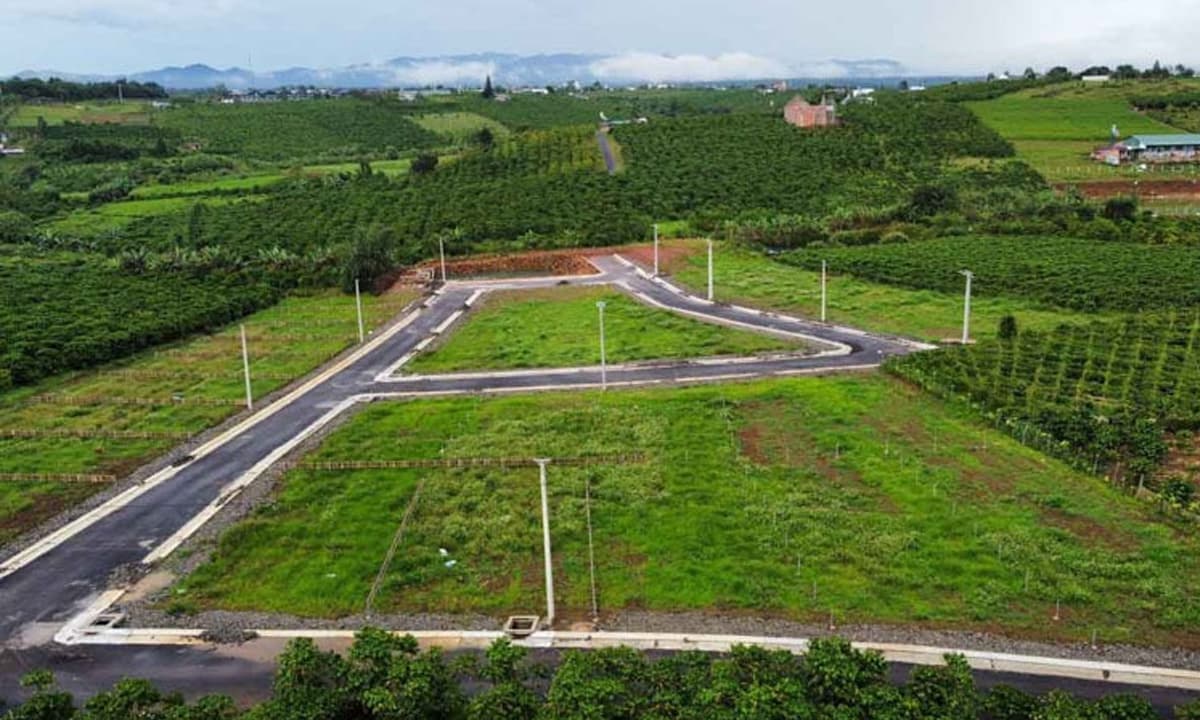 Đất trồng cây lâu năm cùng 4 loại đất khác từ nay nằm trong danh sách loại đất có thời hạn sử dụng 50 năm