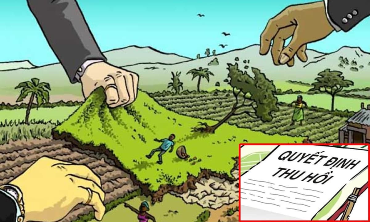 Những trường hợp đất 50 năm bị thu hồi, người dân nên biết sớm kẻo mất quyền lợi